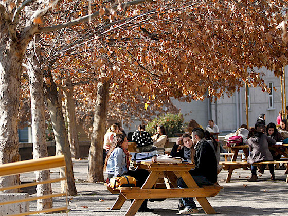 Estudiantes sentados en bancas en el patio, conversando con cuadernos sobre la mesa, bajo árboles otoñales.