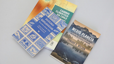 Portadas de los libros recomendados para dimensionar la emergencia climática desde distintos ámbitos.