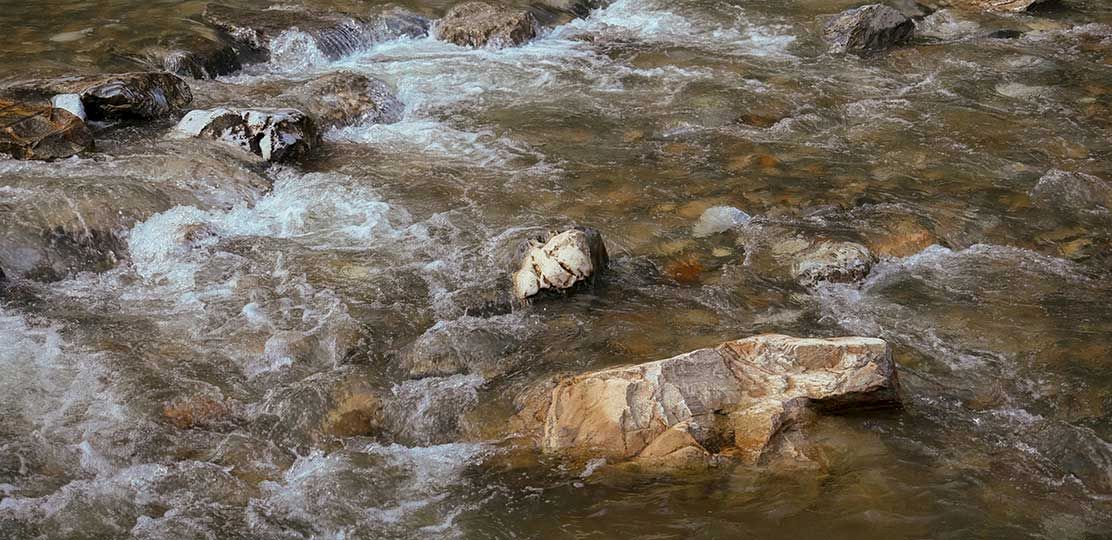 Análisis de vino en laboratorio