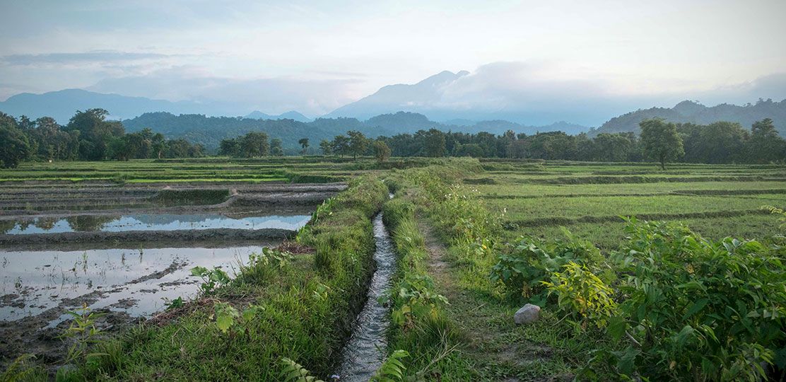 Canal de regadío en una zona agrícola