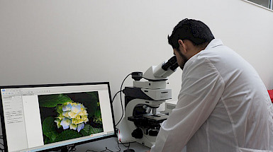Científico mirando un microscopio.