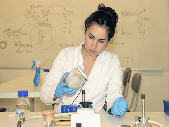Estudiante trabajando en el laboratorio.