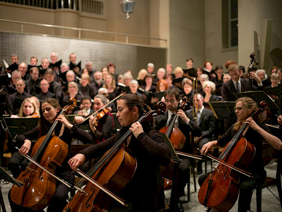 Músicos tocando instrumentos en un concierto. Fotografía: Pixabay.
