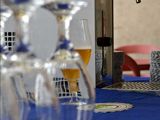 Según el académico Luis Larrondo, parte relevante de las funciones de esta investigación es generar vínculos con la sociedad en general y poder aportar al desarrollo a partir de nuevos conocimientos y aplicaciones.