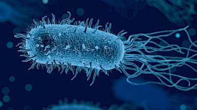 Imagen digital de bacteria en movimiento. Imagen de Arek Socha en Pixabay