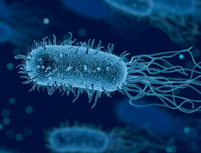 Imagen digital de bacteria en movimiento. Imagen de Arek Socha en Pixabay 