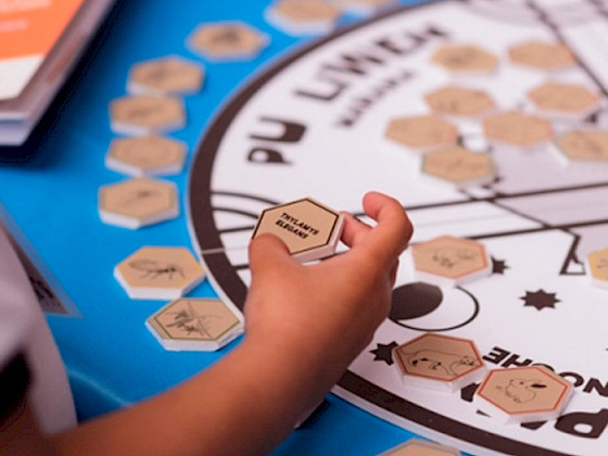 Se visualiza imagen de un juego de tablero