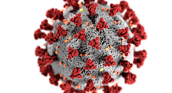 Imagen de molécula de coronavirus