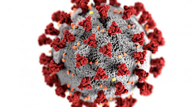 Imagen de molécula de coronavirus