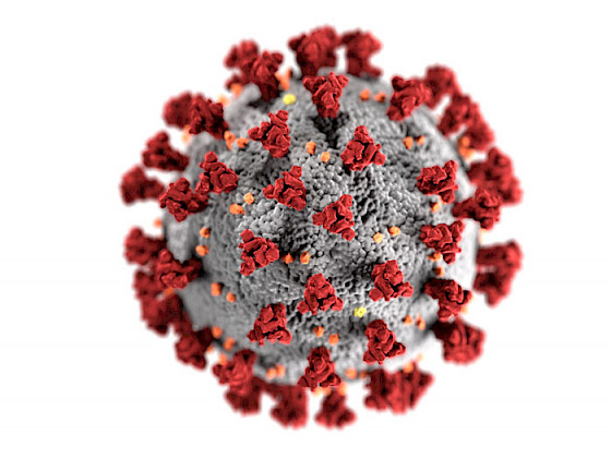 Imagen de molécula de coronavirus