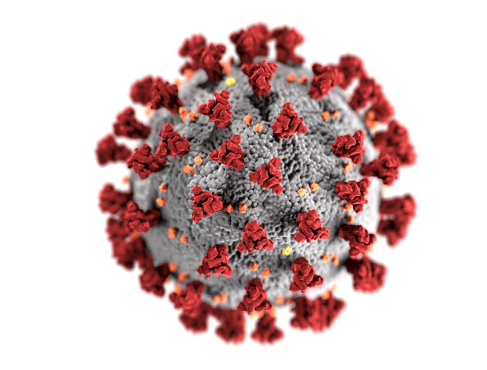Imagen de molécula de coronavirus