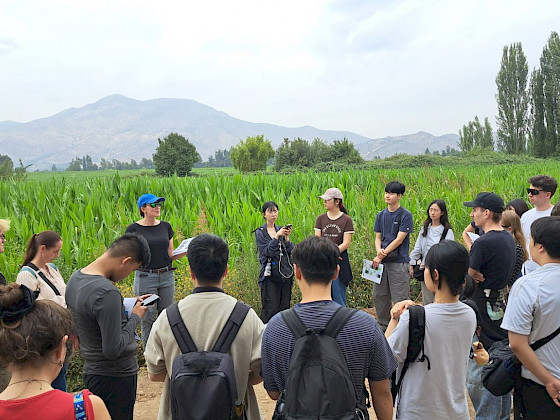 Estudiantes en terreno