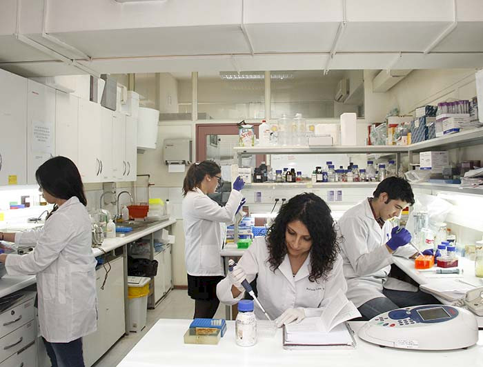 imagen correspondiente a la noticia: "Avanzan las postulaciones a concursos de investigación"