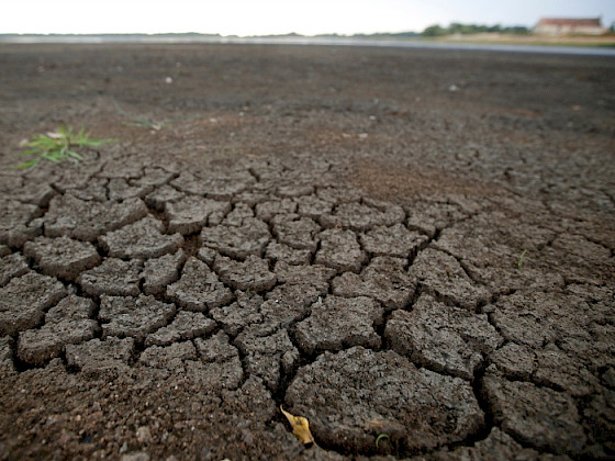 Imagen de suelo seco con grietas