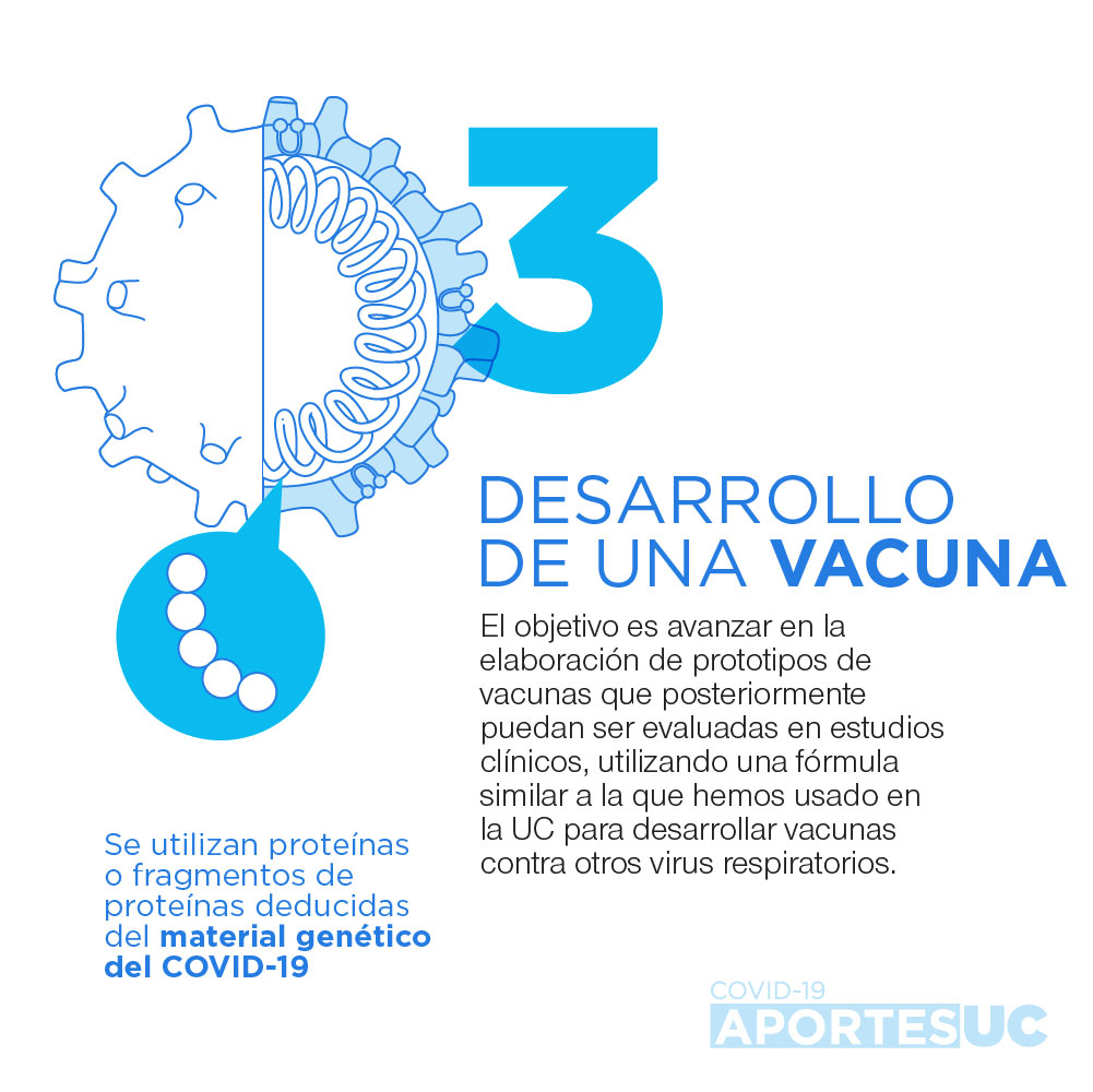 Infografía que muestra cómo la UC avanza en la elaboración de prototipos de vacunas para enfrentar el Covid-19.
