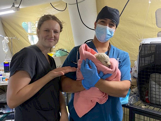 Estudiantes de medicina veterinaria