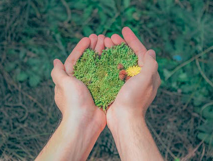 imagen correspondiente a la noticia: "Once instituciones chilenas fueron reconocidas con el Premio Elsevier – Desarrollo Sostenible"