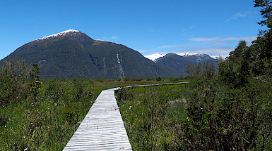 Wooden path over a landscape.