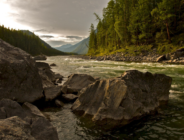 River and forest at sunset.