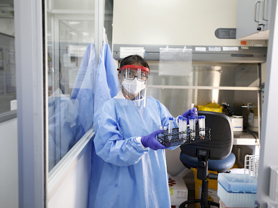 Fotografía de una mujer en un laboratorio, con todos los equipos de protección personal, que sostiene una serie de tuvos de ensayo.
