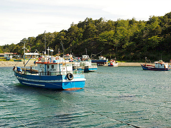Bote pesquero navegando en un canal junto con otros botes.