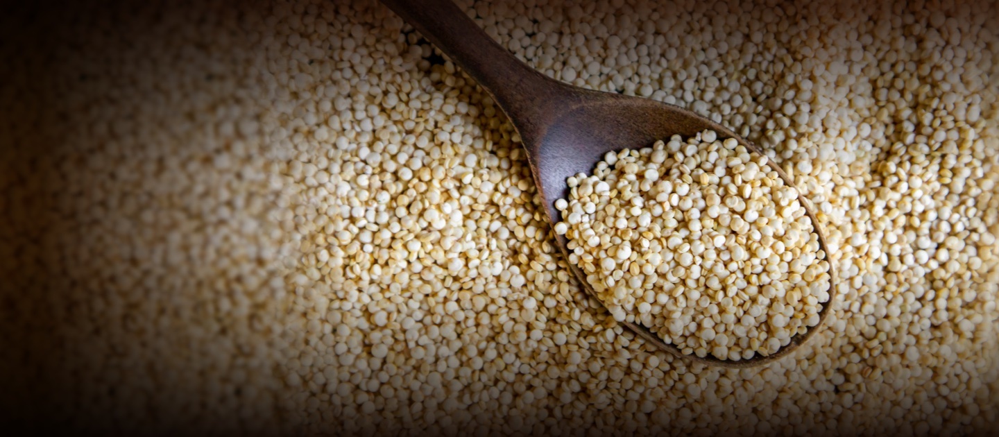 Quinoa seeds