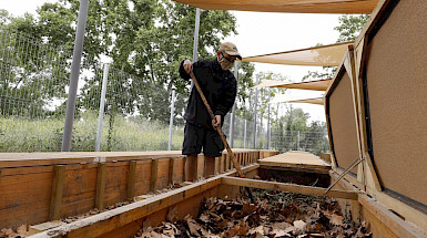 Hombre moviendo hojas y otros desechos organicos en contenedores de madera