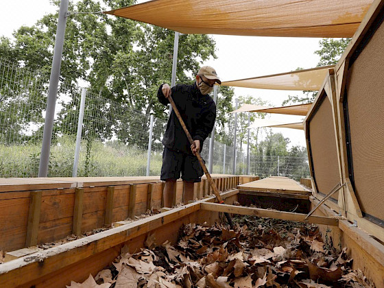 Hombre moviendo hojas y otros desechos organicos en contenedores de madera
