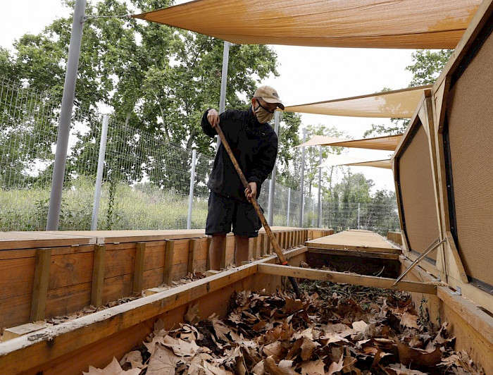 Hombre moviendo hojas y otros desechos organicos en contenedores de madera