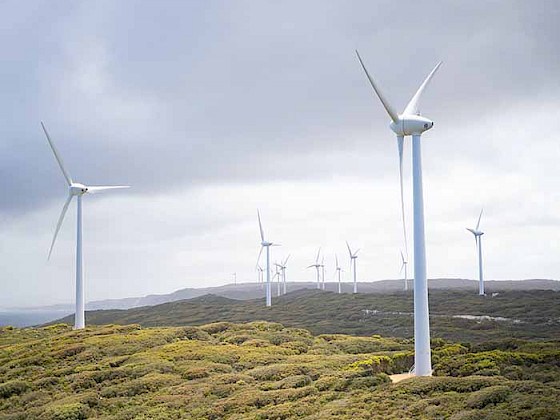 Imagen de parque eólico