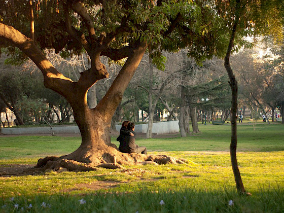 Imagen de un sector del Parque Forestal de Santiago.