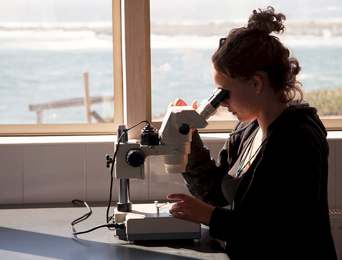 Scientist looking through a microscope