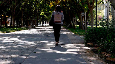 Mujer caminando bajo los árboles.