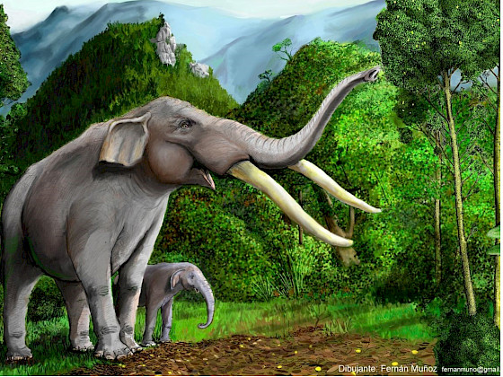 Dibujo de gonfoterios, de Fernán Muñoz