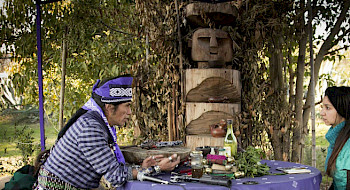 Imagen que muestra un machi junto a una joven, ambos sentados en una mesa al aire libre, sobre la que se ven distintas hierbas y objetos relativos a la salud mapuche. De fondo se ve un paisaje con áreas verdes y un chemamüll, estatua mapuche de madera con forma de persona.