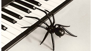Foto de una tarántula sobre el teclado de un piano del fotógrafo español Chema Madoz.