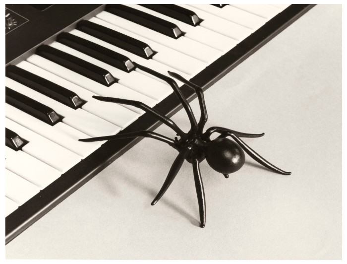 Foto de una tarántula sobre el teclado de un piano del fotógrafo español Chema Madoz.