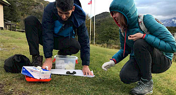 Foto de escolares investigando en un parque de la Región de Magallanes.