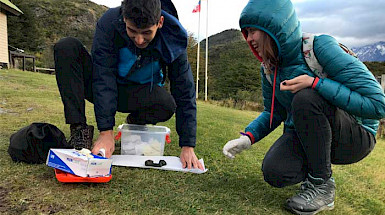 Foto de escolares investigando en un parque de la Región de Magallanes.