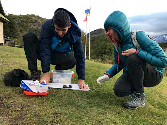 Foto de escolares investigando en un parque de la Región de Magallanes.