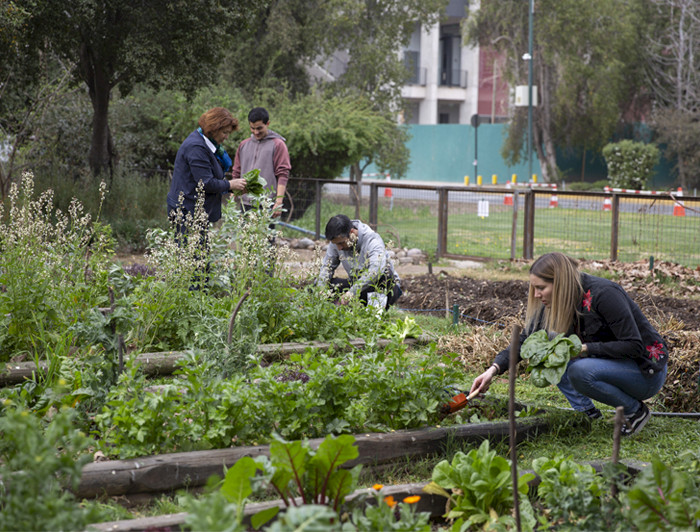 Foto donde se ven personas de la universidad trabajando en el Huerto San Francisco