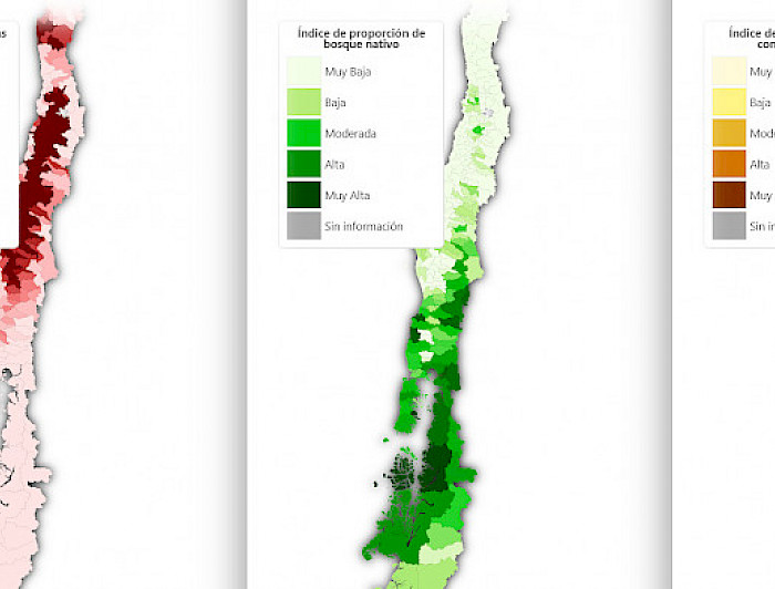 mapas de Chile con zonas en diferentes colores