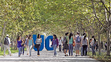 Group of students walking through the grove on the San Joaquin campus