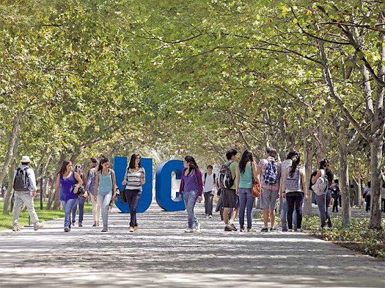 Group of students walking through the grove on the San Joaquin campus