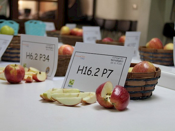 Alguna de las variedades de manzanas realizadas por el Programa de Mejoramiento Genético (PMG)