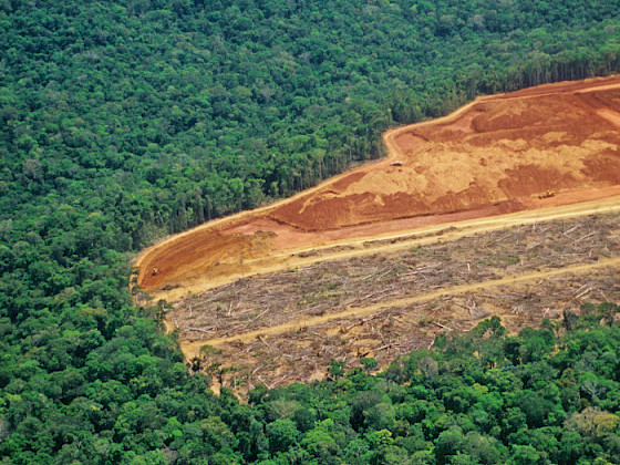 amazon deforestation