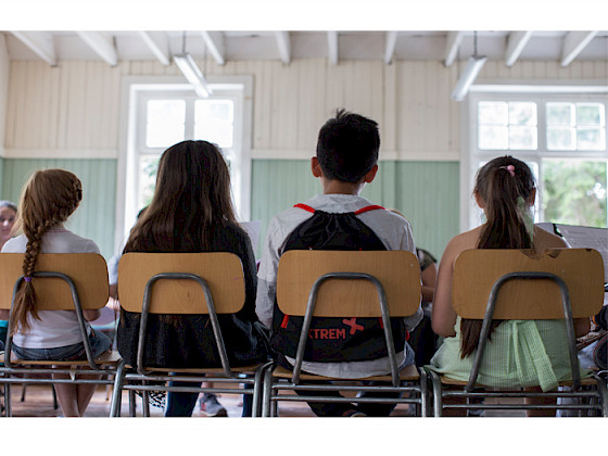 Niños y niñas sentados en sillas de colegios y vistos desde la espalda.