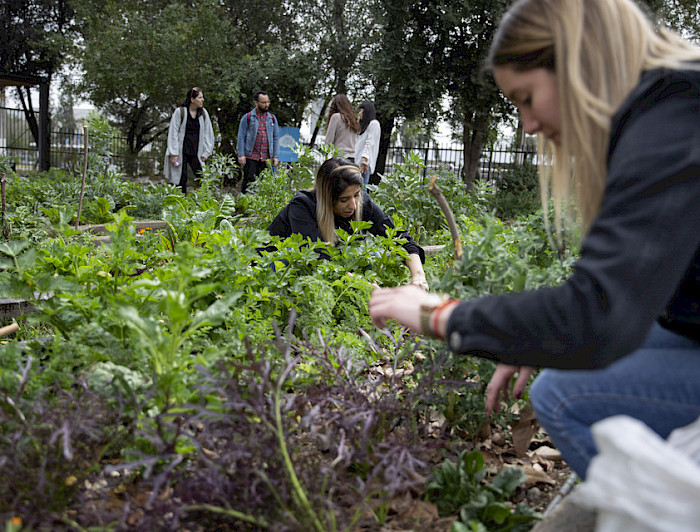 Trabajo de alumnos en huertos.- Foto Dirección de Comunicaciones