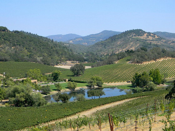 Viñedos zona central de Chile