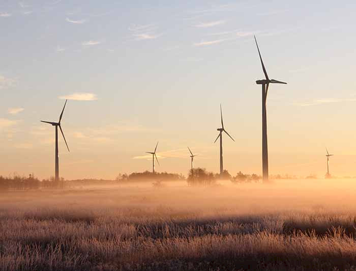 imagen correspondiente a la noticia: "Expertos proponen fortalecer el trabajo de las universidades frente a la crisis climática"